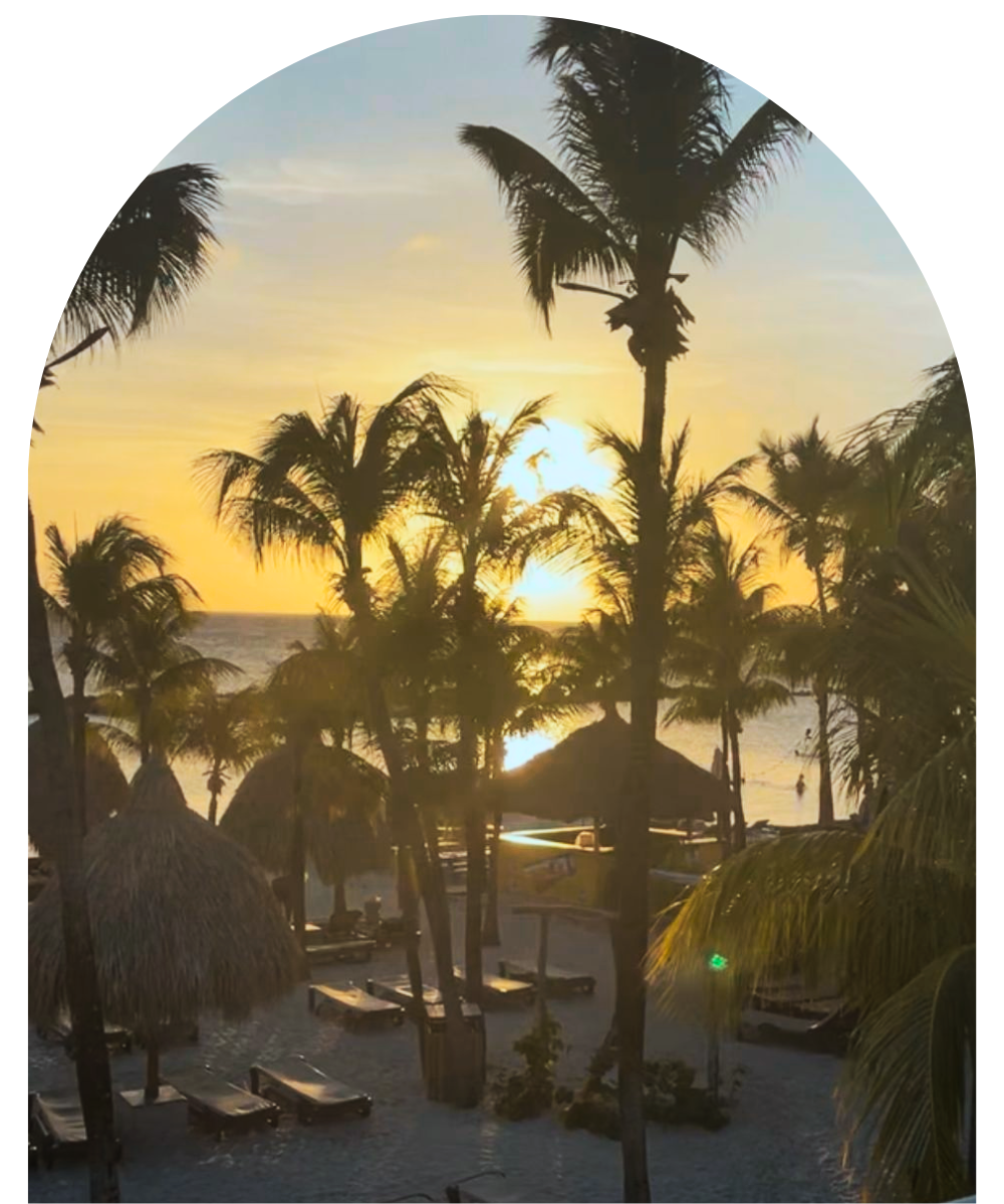 Strand met palmbomen Curaçao